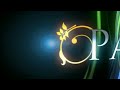 PARE AWARD II 2008
