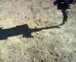 videos de Hydrogen Burner