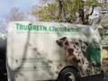 The Truth About Cats, Dogs & Lawn Chemicals