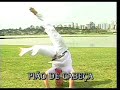 movimientos avanzados de capoeira movimientos avanzados de capoeira