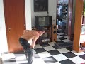 HandJump con una mano, Hollowback, Footwork e Air Freeze