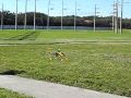 Flying in 15 mph plus head wind -