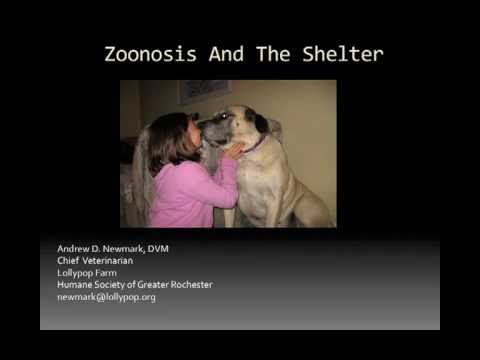 how to control zoonotic diseases