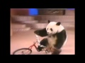 Panda Basi 1991 Spring Festival show
