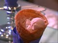 Traders Point Creamery