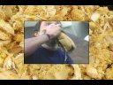 The Back Room: #12 - Food Deviant The Back Room: #12 - Food Deviant