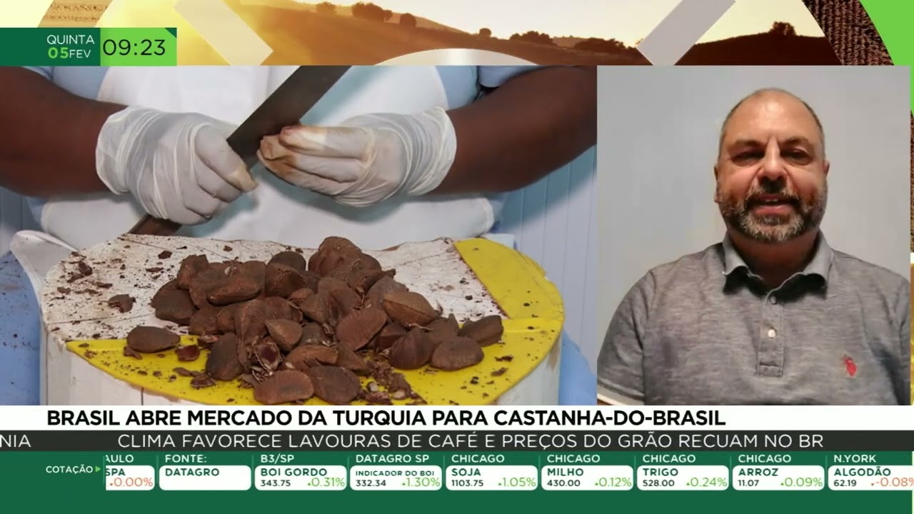 Brasil abre mercado da Turquia para Castanha-do-Brasil