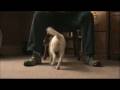 videos de Skeeter @ 28 Weeks - Figure 8 Thru Legs.m4v