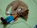 :: frederico o gato ::  05 