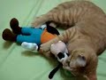 :: Frederico o Gato :: (05)