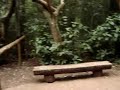 Parque das Aves (gaiola das araras)