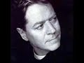 Robert Palmer -  Aeroplane