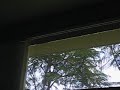 attempting to break and enter