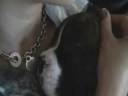 Weird Snore.wmv Weird Snore.wmv