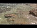 Creta: Spiaggia di Krissi - Crete: Krissi beach
