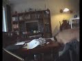 Ihaa ja uusi panta