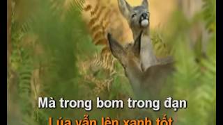 Nang am que huong karaoke beat phoi