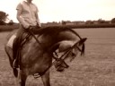 Esprit op de stoppel-draf&travèr sepia verie(aug 2008)