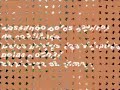 Um Trem - Mensagem (Enise)