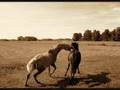F-TIZZLE AND NATASHA BEDDINGIELD-WILD HORSES