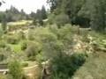 The Wednesday Joy - Gardening