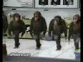 Kapikner Qochari  en Parum(Obezyani Tancuyut Kochari)