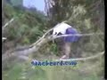 hurricane-andrew-dvd-preview.html