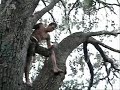 Rockledge Climbing