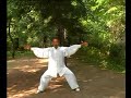 118 Yang-Style Taichi, instructed from LI Yaxuan (3)