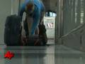 Air Travel Back to Normal After Glitch