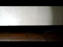 Minni Playing Under the Door