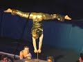 Avatar Circus