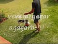 Lilica a Boa de Bola