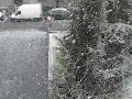 Neve a Bologna 07-01-2008