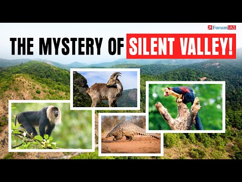 The Silent Valley Uprising: How a Forest Defied a Dam and Awakened a Nation!