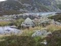 Loch Brandy - Tranqiuil Scene