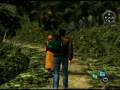 Shenmue II
