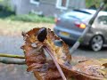 Photo impression of my SEAT Leon.