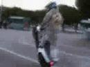 gosh stunt gosh stunt