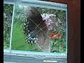 Video Editing Techniques-keyframes