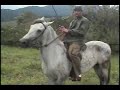 Um farowest no Haras Santo Graal - cavalos  p3 santograal