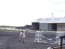 galop 5 : lison & Nuance (2)