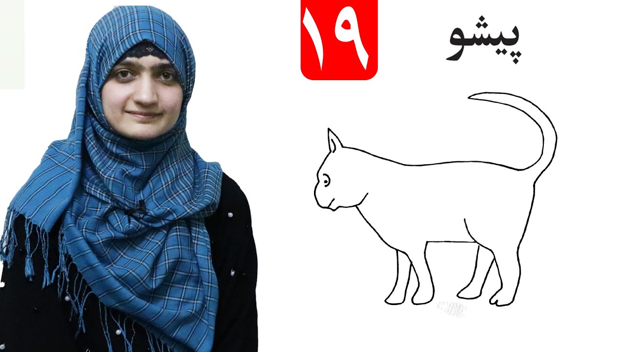 Cat Drawing - lesson 19 _ Arts Grade 1/ د پیشو انځور - لومړی ټولګی- د رسم مضمون