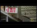 Animal Extractors: Hawk Capture