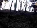 videos de JOHN DEERE TAKING DOWN A MOUNTAIN TAKE 1