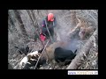 KoreaTrek wild boar hunting