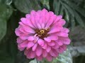 spring-in-samos.html