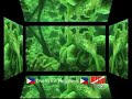 Buceo pelicar en filipinas