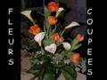 atelier art floral