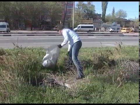 Просмотр видео